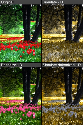 Poppy garden imaged processed with Deuteranopia modality